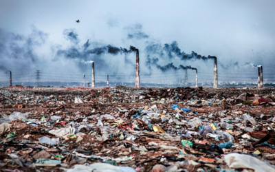 Environmental Pollutants