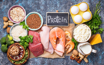 Protein – Quality or Quantity